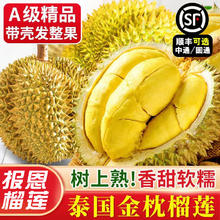 桦萱 榴莲 泰国金枕榴莲新鲜果整个带壳 A+报恩果王5-6斤 包4-6房139.9元