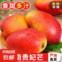 海南三亚新鲜芒果 贵妃芒应当季水果 带箱2斤 大果（单果150-200g）4.95元（需领券）