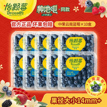 Driscoll's 怡颗莓 国产云南蓝莓 125g*10盒券后68.98元