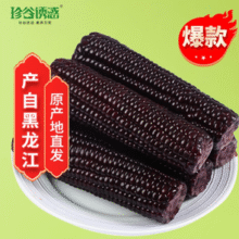 珍谷诱惑 东北甜黑糯玉米10支 1.8kg*1箱￥15.99