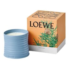 【奢香礼赠】LOEWE罗意威柏树球香氛香薰蜡烛植物居家780元