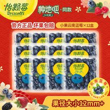 Driscoll's 怡颗莓 当季云南蓝莓125g*12盒券后79.9元