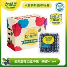 DRISCOLL'S 怡颗莓 云南蓝莓 14mm+ 125g*12盒新低88.4元包邮（7.36元/盒）