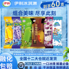 伊利冰淇淋家庭超值组合大布丁苦咖啡冰工厂组合装60支（3905g）￥61.90