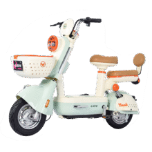 首单礼金：小羚羊 新国标电动车 48V24AH星恒锂电1359.2元
