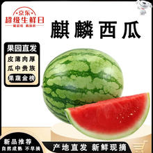闽农语果 云南麒麟西瓜新鲜水果当季现摘 净重8-10斤 1个瓜券后17.99元