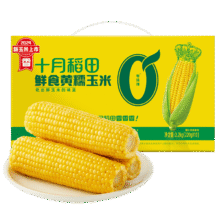13日20:00 十月稻田 黄糯玉米 4.4斤(220g*10根) 低脂 玉米礼盒 早餐代餐18.91元