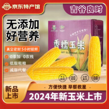 吉谷良时【专属】消夏健康轻食东北玉米黄金产区黄糯白糯黑糯 2024黄甜糯10棒-限量款 铝箔彩箱24.9元（需领券）