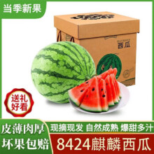闽域寻鲜云南8424麒麟西瓜水果新鲜邮应当季10整箱现摘红瓤熟瓜沙薄皮甜瓜 1个瓜 净重5-6斤｜加厚泡沫箱多层保护 【现摘现发】14.67元