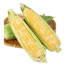 plus会员:京鲜生云南水果玉米 净重5斤单果250g+ 甜玉米14.73元