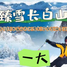 美团 长白山雪乡漠河+住雪乡外有自费1大9天8晚3999元