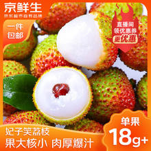 京鲜生 海南妃子笑荔枝 净重3斤 单果18g+ 新鲜水果 源头直发 妃子笑荔枝3斤大果券后29.5元