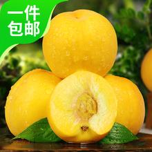 京鲜生 国产黄桃 毛桃 净重4.5斤 单果150g+ 软硬两吃 源头直发券后24.6元