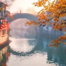 【品质杭苏】杭州-乌镇-苏州-龙之梦4日游|15人精致团纯玩无购物【咨询享优惠】669元
