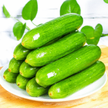 新鲜现摘！Goodfarmer 佳农 宝菜 山东荷兰水果黄瓜 净重3斤 单果80g+￥9.77