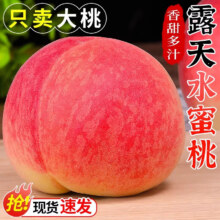 陕西露天水蜜桃新鲜毛桃子水果应当季现摘脆甜春雪蜜桃大桃子 5斤大果【10个左右】23.8元（需领券）