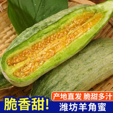 琪江果 山东潍坊头茬羊角蜜甜瓜 当季新鲜水果现摘整箱 羊角蜜4.5斤-5斤3-6根券后17.8元