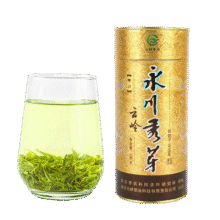 云岭茶业（YUNLING TEA）永川秀芽茶叶绿茶2024年新茶明前春茶毛尖茶高山云雾茶重庆特产 云岭特川100g圆听142元