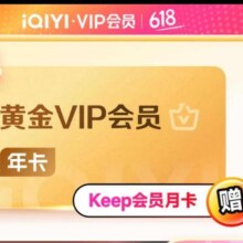 爱奇艺VIP会员 黄金会员12个月  支持三端113元（需领券）