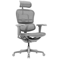 Ergonor 保友 金豪b雄鹰 2025款 人体工学椅￥1146.05 比上一次爆料降低 ￥590.92