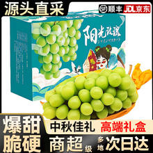 集年鲜 四川阳光玫瑰 葡萄新鲜采摘生鲜水果 彩箱中秋彩箱 2斤 A级果 单果8-10g券后25.9元