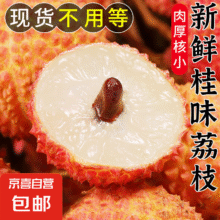 桂味 荔枝 3斤27元（需领券）