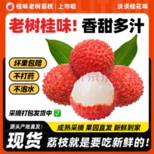 荔皇 广东高州正宗桂味荔枝 净重4.5斤普通装￥39.90