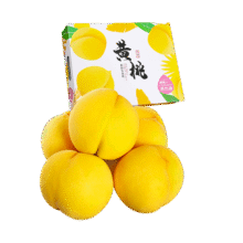 百亿补贴：春福乐 山东蒙阴黄桃【地标认证】新鲜水果现摘现发桃子孕妇水果 净重4.5-5斤丨精选装18.4元