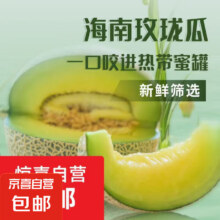 果香浓郁正宗新鲜海南玫珑蜜瓜当季新鲜水果坏果包赔玫珑蜜瓜 实惠2-3斤（1-2颗装）5元（需领券）