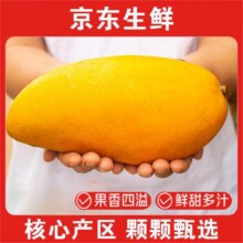 疆域采虹 正宗现摘金皇芒整箱 4斤超值实惠装 净重约为3斤+6.9元（需领券）