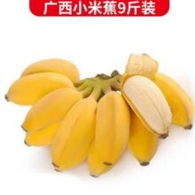 静益乐源 广西小米蕉 净重9斤新低16元包邮（1.77元/斤）
