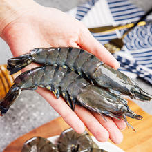 20点开始、移动端、京东百亿补贴：美加佳 XIAN YAO 鱻谣 黑虎虾 31-40只 1kg72.9元