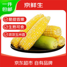 京百味 水果玉米5斤 云南甜玉米棒子新鲜生鲜蔬菜香甜多汁应季 源头直发 鲜水果玉米5斤券后11.88元