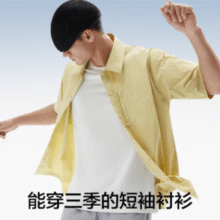 原纱凉感！Bananain 蕉内 凉皮5系 男士短袖衬衫￥89.00