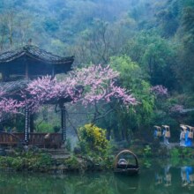 【酒景】酉阳桃花源+乌江画廊游船+龚滩古镇+住宿1晚原价776.02元，现价369，美团月卡仅364