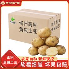 播州鲜 黄皮土豆5斤箱装4.95元