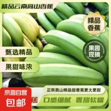 精品云南高山蕉 9斤14.9元
