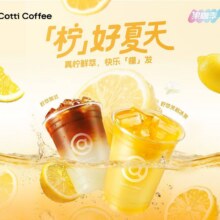 美团 库迪咖啡 新品【柠好夏天】柠萃系列2选1原价26现价2.7元（需领券）