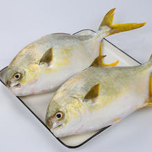 翔泰 深海金鲳鱼 900g29.9元（需买3件，需用券）
