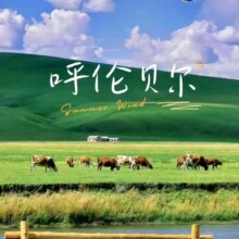 美团 悦游草原【3天2晚】早鸟惊爆价丨一价全含丨轻奢纯玩原价2933元 现价673元