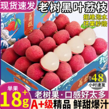 翠鲜令广东桂味荔枝 新鲜荔枝 爆汁爆甜 源头直发冷链包邮 黑叶荔枝净重4.5斤 荔枝18.9元（需领券）