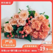 京东鲜花 玫瑰10枝+康乃馨10支+红豆5支 共25枝19.87元包邮