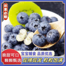 SHINE GRACE【JD包邮】新鲜高山蓝莓鲜果现摘当季孕妇宝宝应季水果送礼整箱 单盒100g——120g 【中果12mm+】4盒丨净重410g+19.9元（需领券，合9.95元/件）