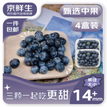 24日：京鲜生 国产蓝莓 4盒 14mm+装125g/盒 生鲜水果 源头直发 包邮28.9元