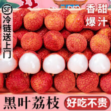 需首购:粤迎黑叶荔枝【JD顺丰冷链】新鲜水果 净4.5-5斤精选果【单果15g+】22.8元