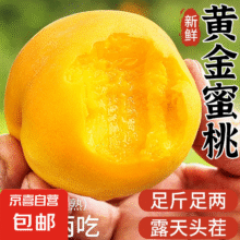 蒙阴黄桃【地标认证】单果100g+ 5斤精选装丨泡沫托丨净重4.5斤17元（需领券）