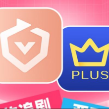 爱奇艺 白金VIP会员年卡+京东PLUS年卡249元（需领券）