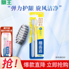 0.01mm细毛！Lion 狮王 细齿洁弹力旋净牙刷 2支装￥6.05 比上一次爆料降低 ￥18.15