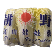 云南高原娃娃菜新鲜蔬菜生鲜乾隆白菜早餐火锅必备京东买菜 浅黄色 新鲜娃娃菜3颗装*3包5元