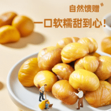 香甜软糯！粒上皇 板栗仁 45g*9袋￥19.90